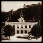 Gaja